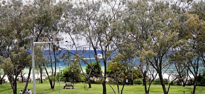 Main Beach Apartments Byron Bay Buitenkant foto